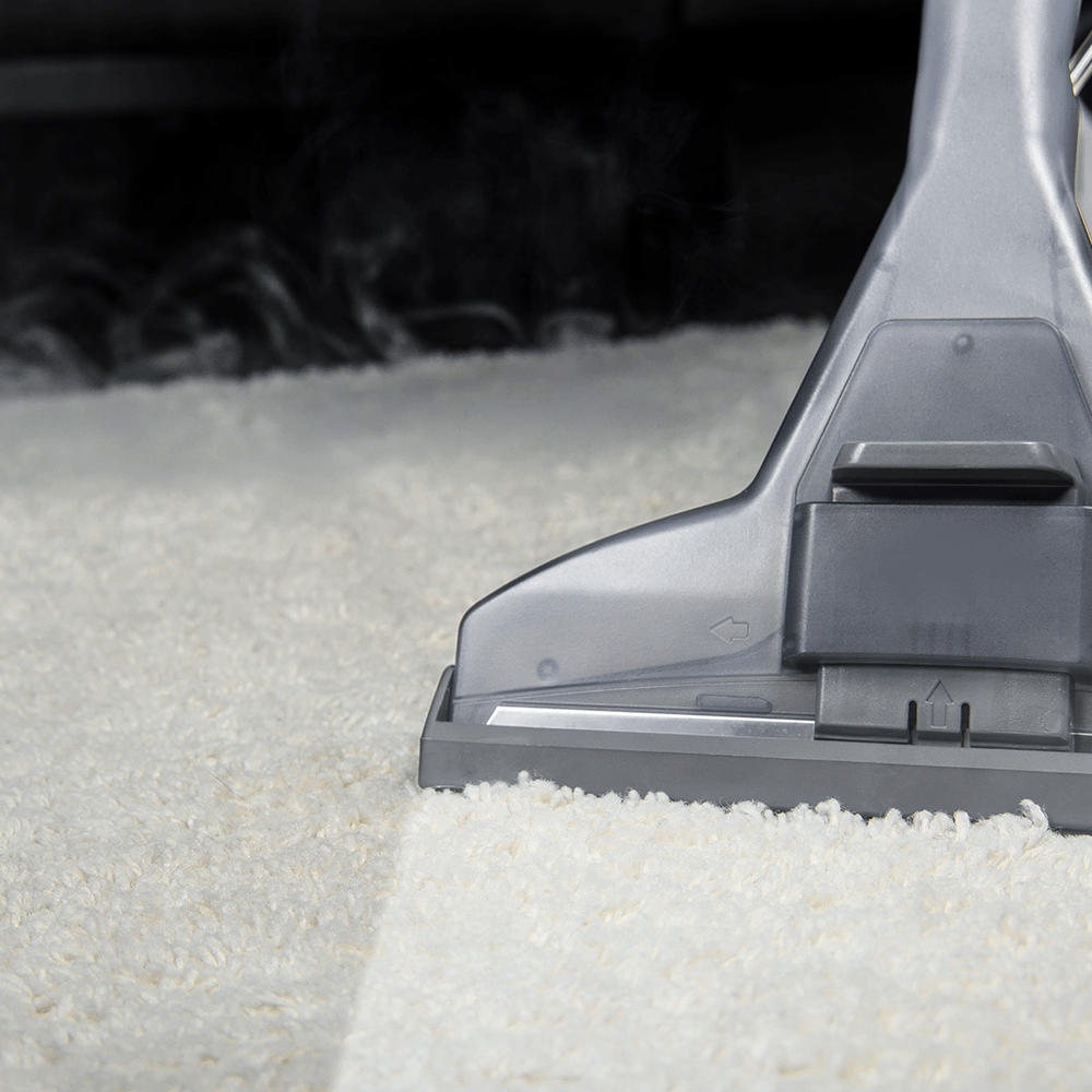 Deep Cleaning