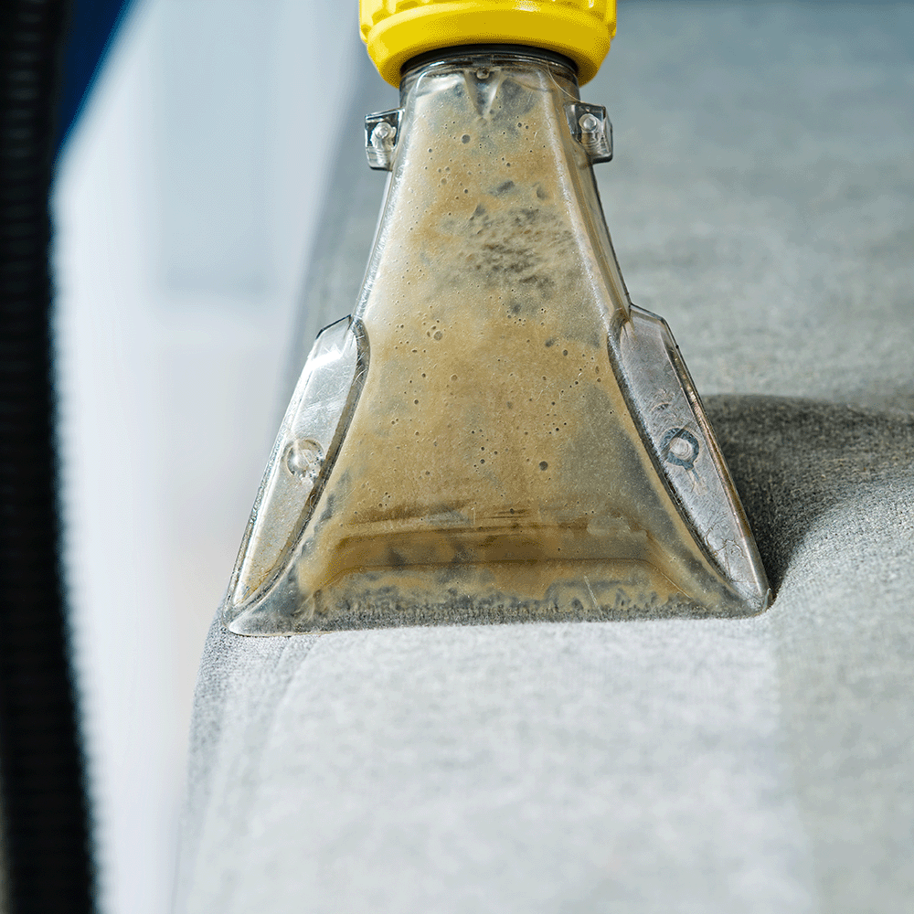 Upholstery Cleaning